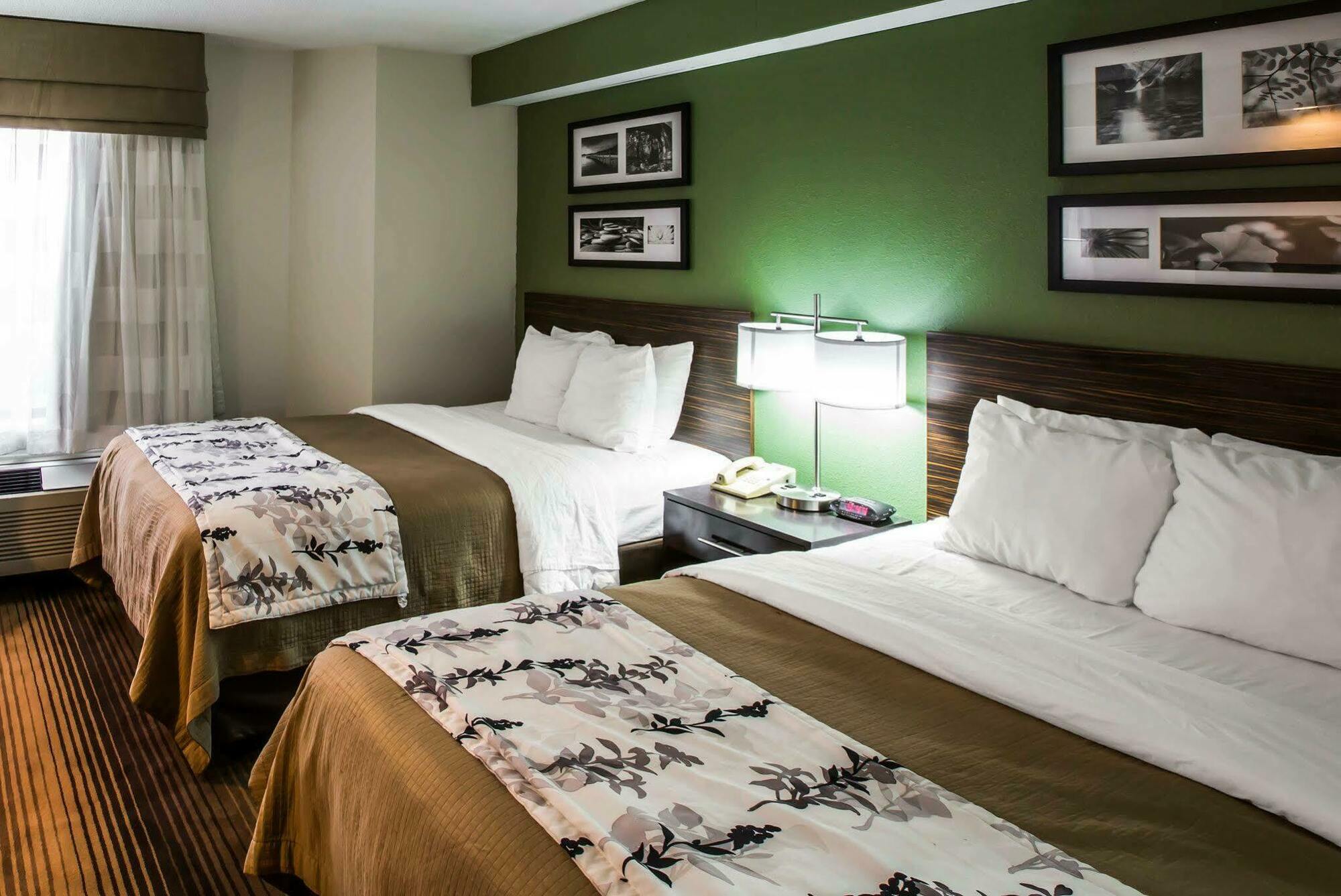 Sleep Inn & Suites Kingsport Tricities Airport Bagian luar foto